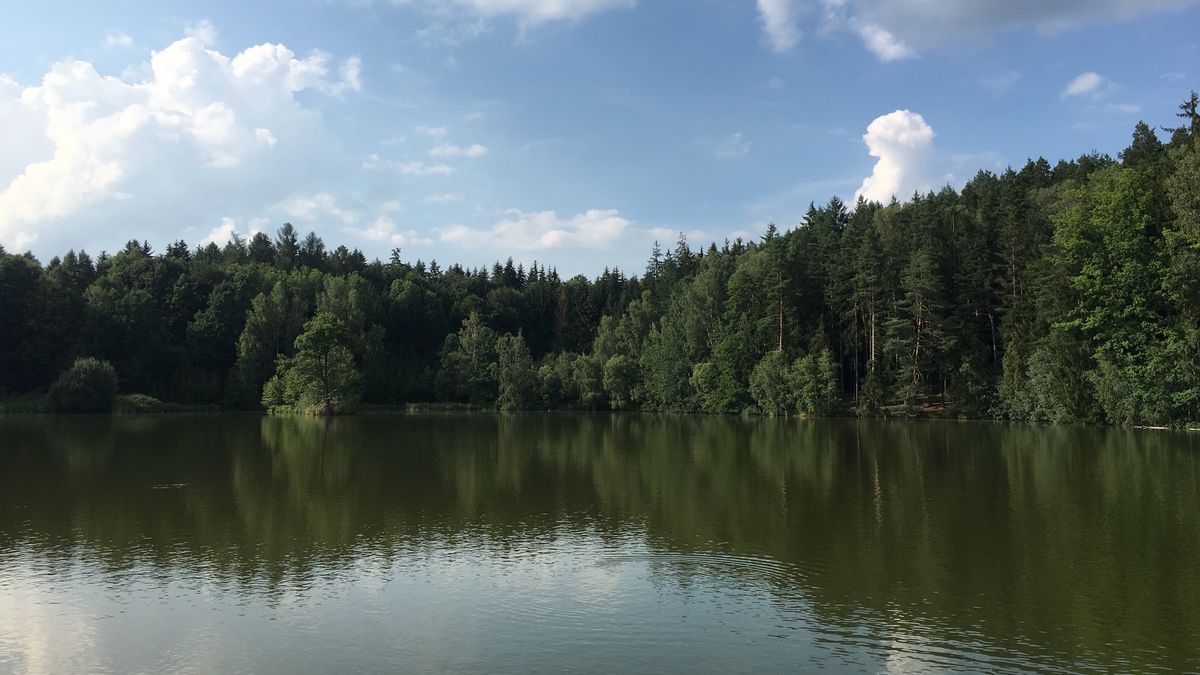 Jihočeský kraj dokončil obnovu Vrbenských rybníků
