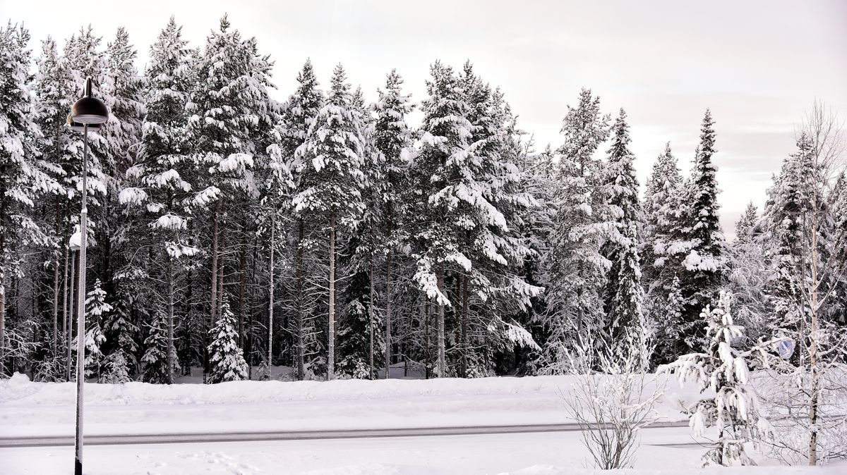 Jarní počasí vystřídá sníh a mráz. Sněžit může i v nižších polohách