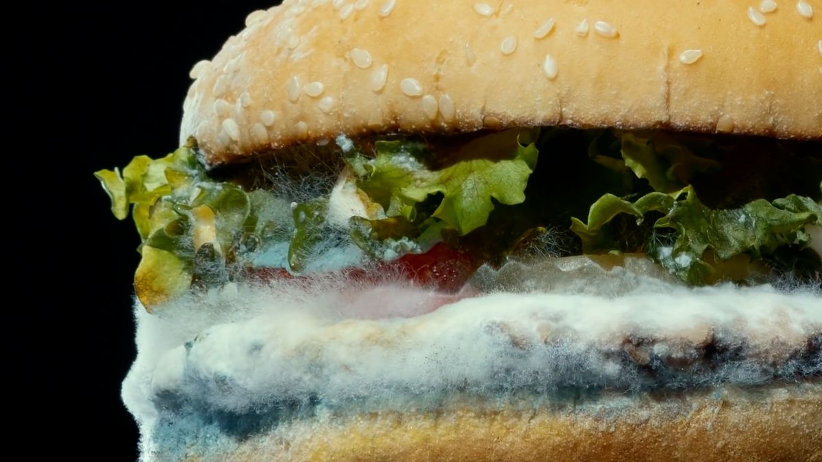 Plesnivý hamburger jako lákadlo. Burger King končí s umělými přísadami