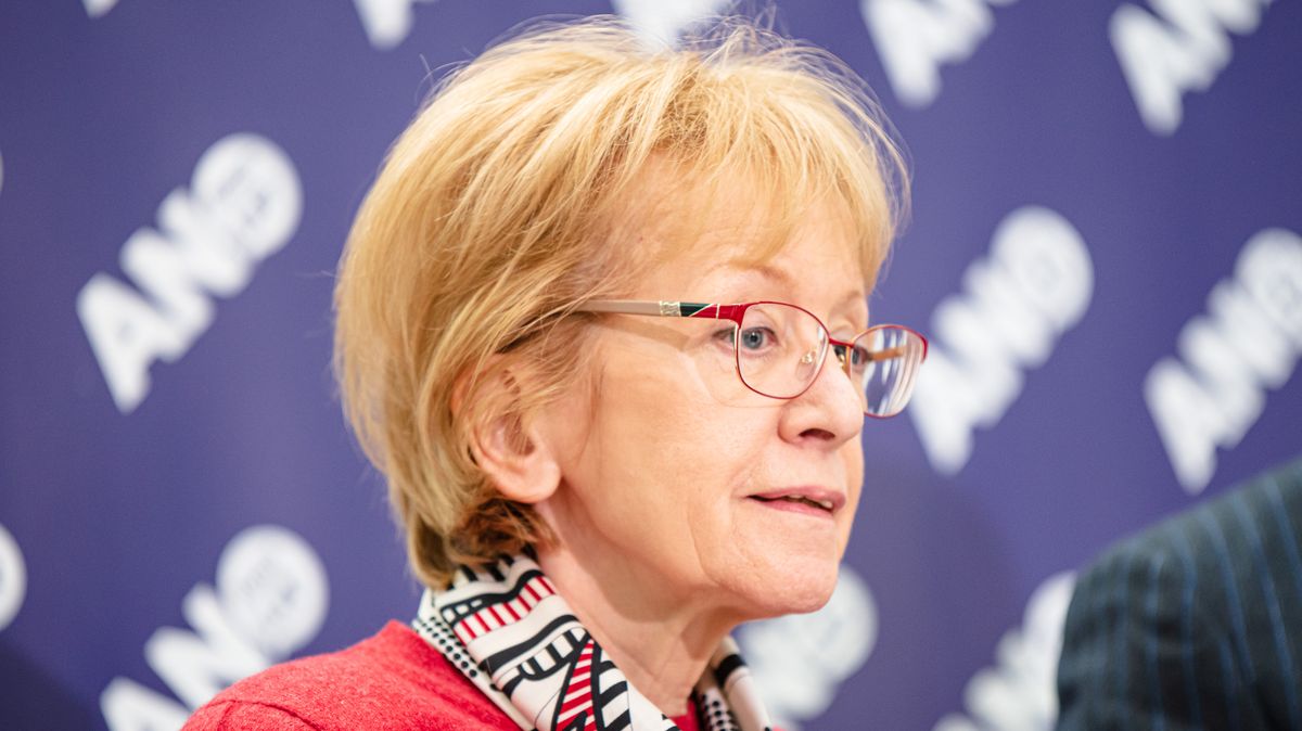 Jak to bylo se zbraní ve Sněmovně? Pronesl ji tam komunální politik ANO