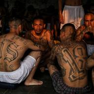 Zveřejněné fotky okamžitě kritizovali lidskoprávní organizace a někteří středoameričtí politici. Všichni se shodují, že jde o nehumánní zacházení s vězni.