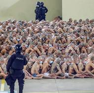 Dokládají to i čísla. V březnu byly průměrně hlášeny dvě vraždy denně, za únor byl počet vražd dvojnásobný a v dřívějších měsících o život pravidelně násilně přicházela až tisícovka lidí.