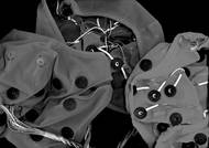 Pro celonoční záznamy spánku se používá polysomnografie (PSG). Tato technologie je velmi užitečná při diagnostikování a zkoumání spánkových poruch.