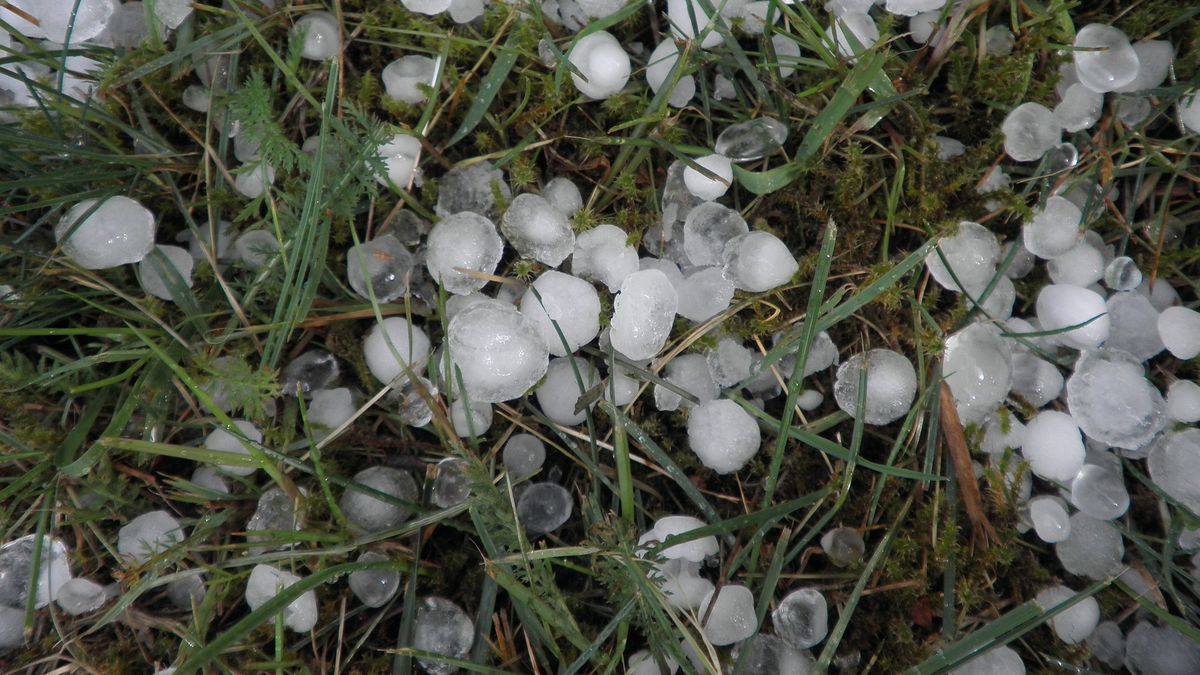 Na severu Moravy a ve Slezsku hrozí večer silné bouřky s kroupami