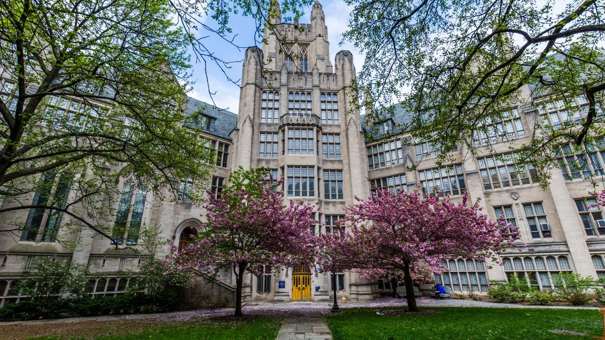 Americká vláda žaluje Yale za diskriminaci bělochů a Asiatů