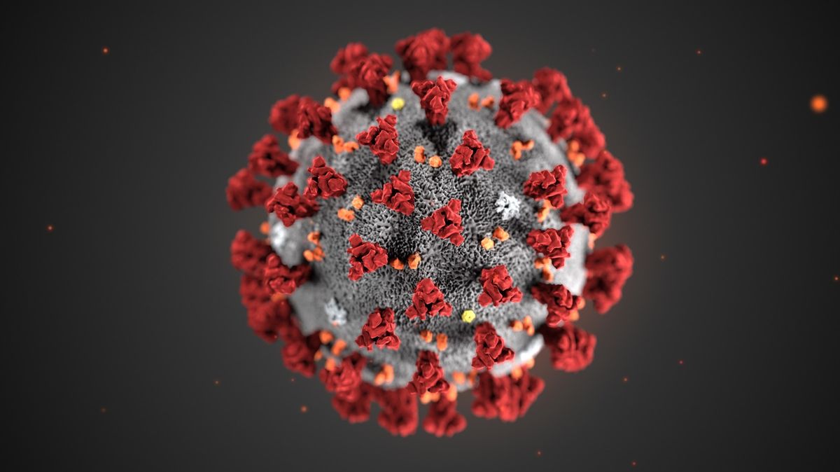 Ilustrace koronaviru, která obletěla svět