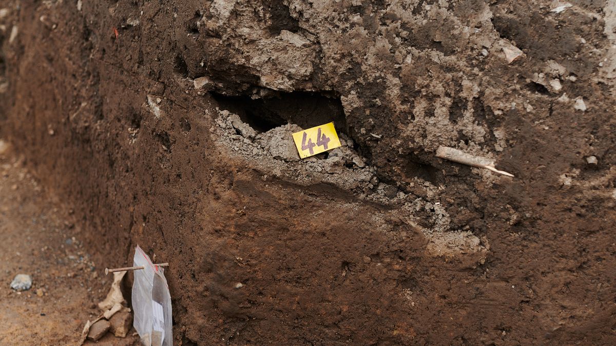 Středočeští archeologové by mohli mít depozitář v sýpce zříceniny hradu Dražice