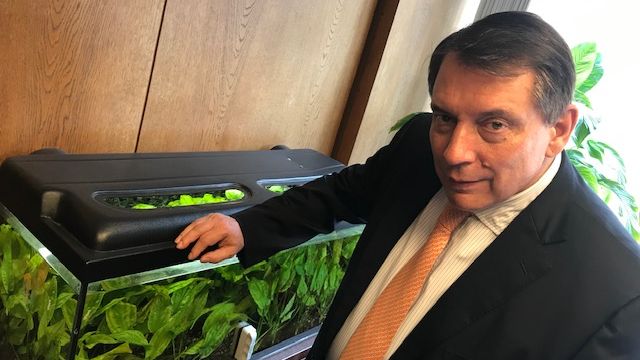 Dobrovský & Šídlo: Špidla padl, Gross padl. A pak se zjevil Paroubek