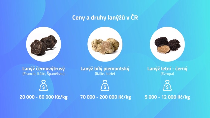 Který lanýž je dražší?