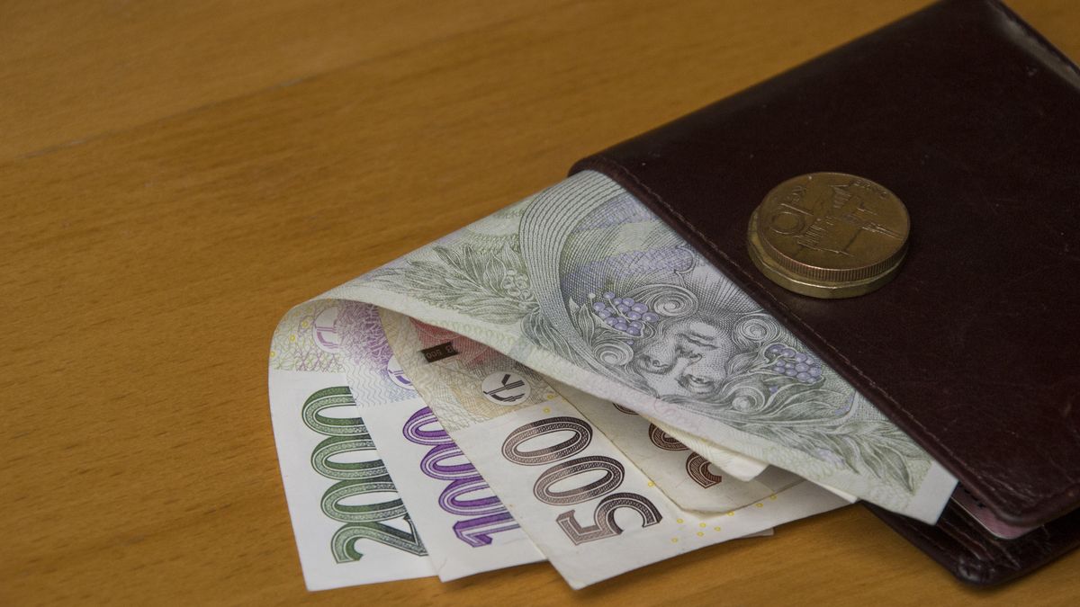 Policie navrhla obžalovat 20 falešných bankéřů, škoda je víc než 100 milionů