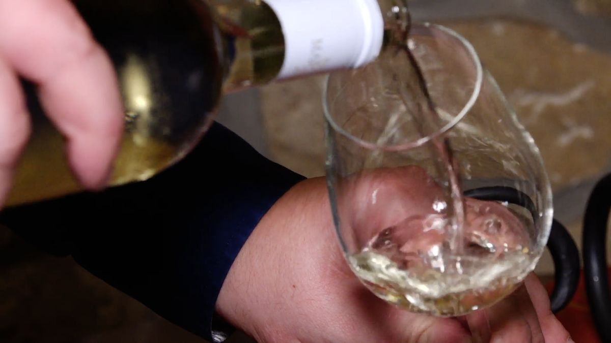 Experti ze 46 zemí budou v Brně hodnotit 8500 vzorků vín