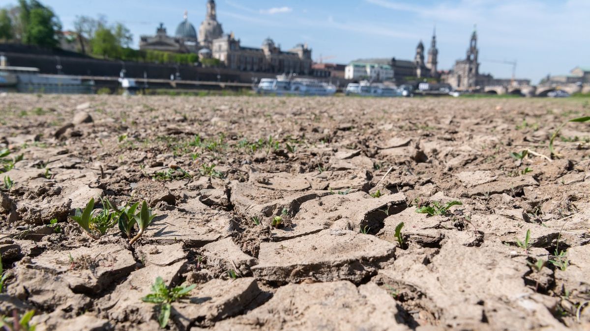 „Evropský Egypt“. Sucho udeří od východní Francie až po Rumunsko