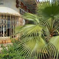 V roce 2014 nařídil Evropský soud pro lidská práva ve Štrasburku, aby Turecko odškodnilo kyperské Řeky za nucené vysídlení, vyvlastňování a diskriminaci po turecké invazi. 