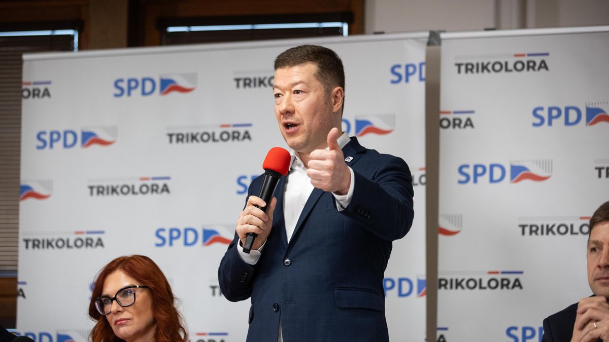 SPD ohlásila, že v EP nebude zasedat ve frakci s Alternativou pro Německo