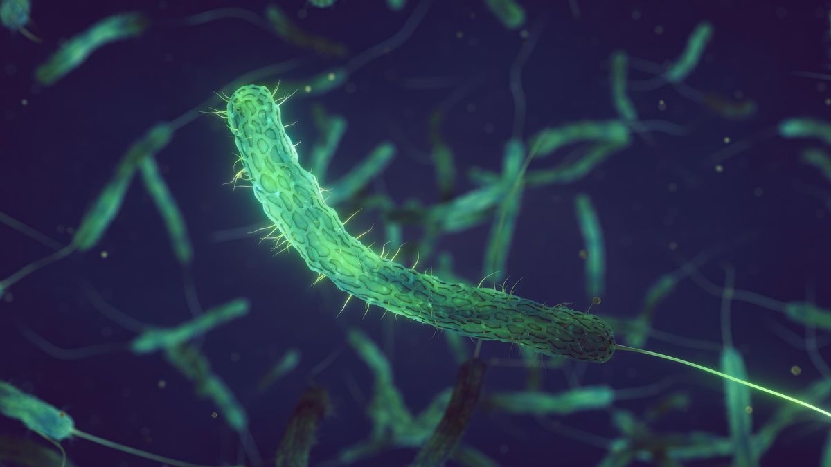Ve válčícím Súdánu řádí cholera, nemocí se nakazilo asi 13 000 osob