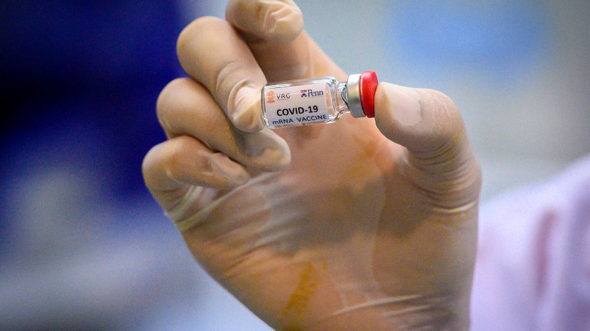 Svět se dozví, jak slibná je vakcína proti koronaviru