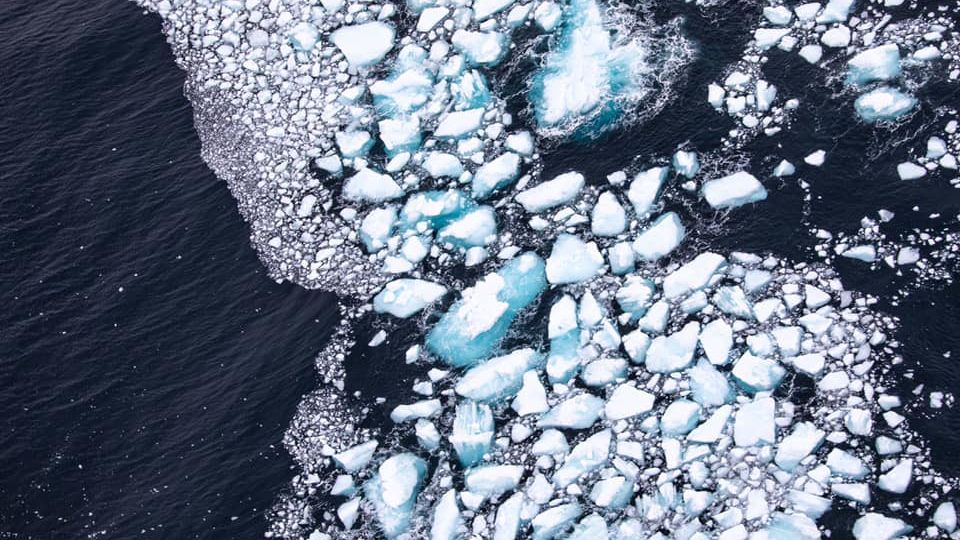 人類はその目標を達成していますが、氷山はそれを救うことはありません、新しい研究に警告します