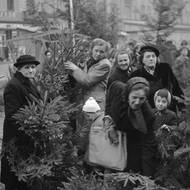 Vánoce 1950: Prodej vánočních stromků v Praze.