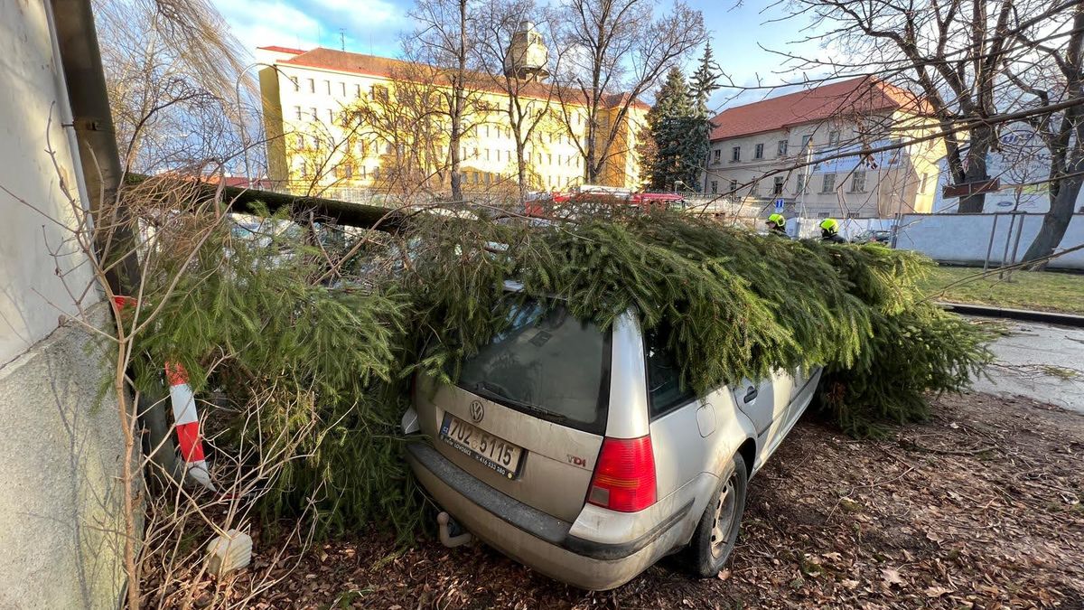 Většinu Česka zasáhne v noci a v neděli silný vítr