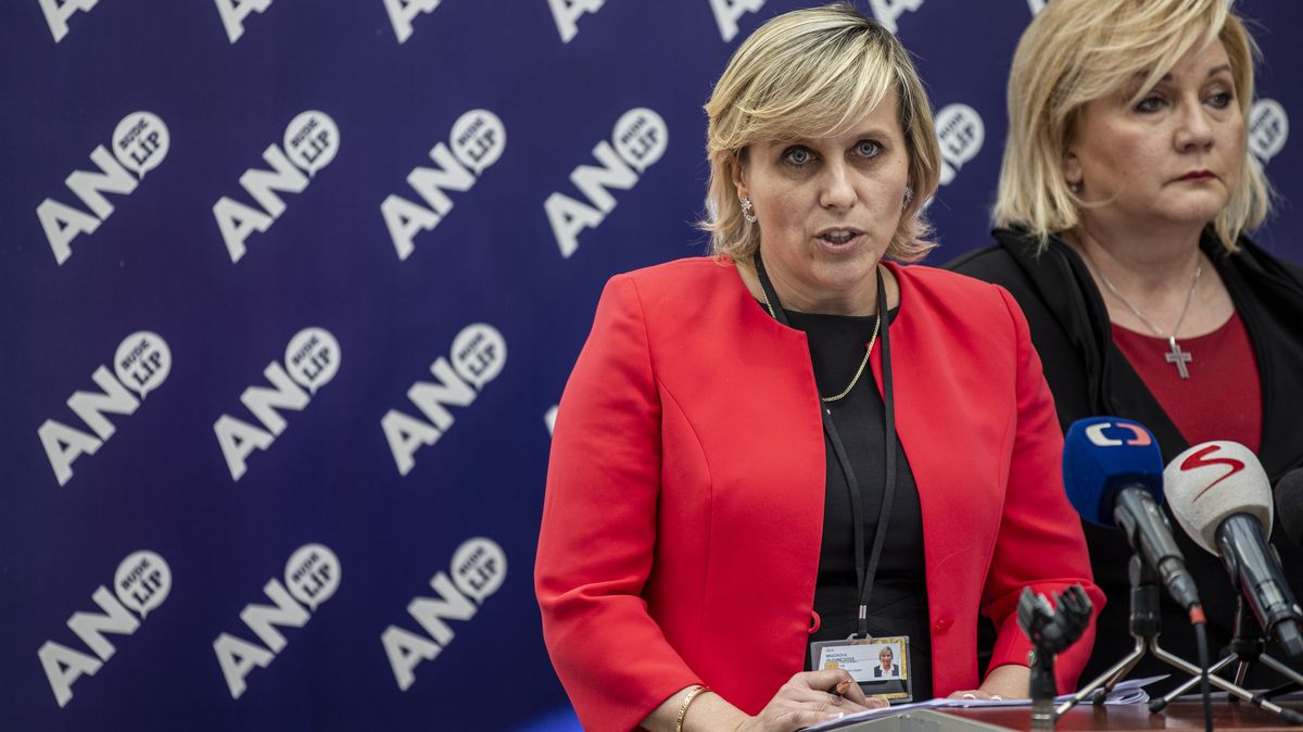 ANO bude v Karlovarském kraji vládnou bez partnera, hejtmankou chce senátorku