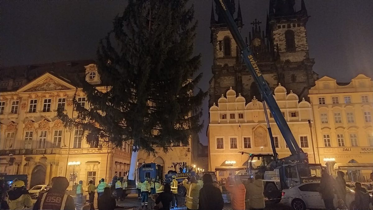 Obrazem: Na Staroměstském náměstí v Praze postavili přes noc vánoční strom