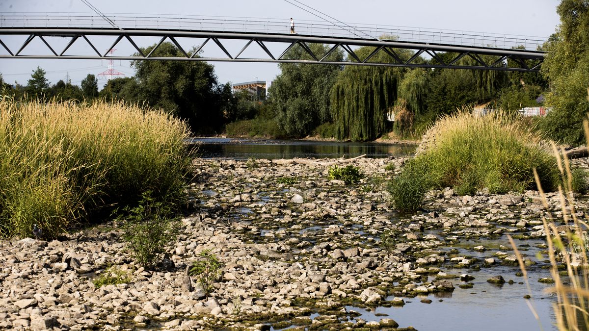 Střední Evropa na tom bude jako člověk s horečkou 41 °C, varují experti