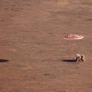 Snímek společnosti Roskosmos z 27. září ukazuje kapsli Sojuz MS-23 s posádkou Mezinárodní vesmírné stanice složenou z ruských kosmonautů Sergeje Prokopjeva, Dmitrije Petelina a astronauta NASA Franka Rubia během jejího přistání v Kazachstánu. Rubio kvůli odloženému návratu způsobenému poškozením kosmické lodi Sojuz překonal rekord v nejdelším nepřerušeném americkém pobytu ve vesmíru, strávil tam 371 dní.
