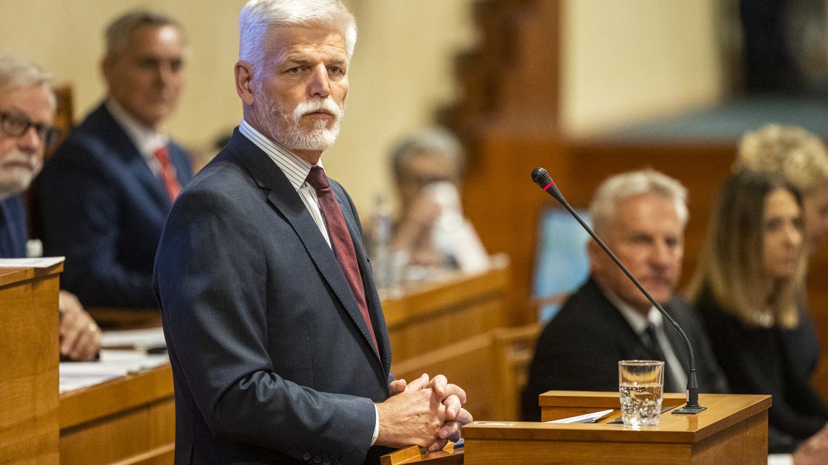 Vypadá to s ním bledě, říká senátor o Pavlovu kandidátovi na Ústavní soud