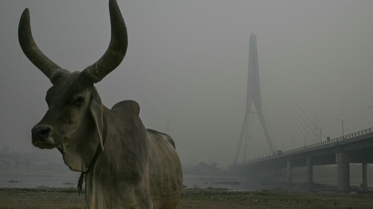 Fotky: Jako by nestačil dusivý smog. Řeku zaplnila toxická pěna