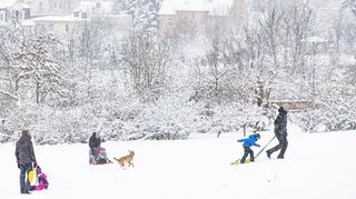 Na Štědrý den může nasněžit nejen na horách, hlásí meteorologové