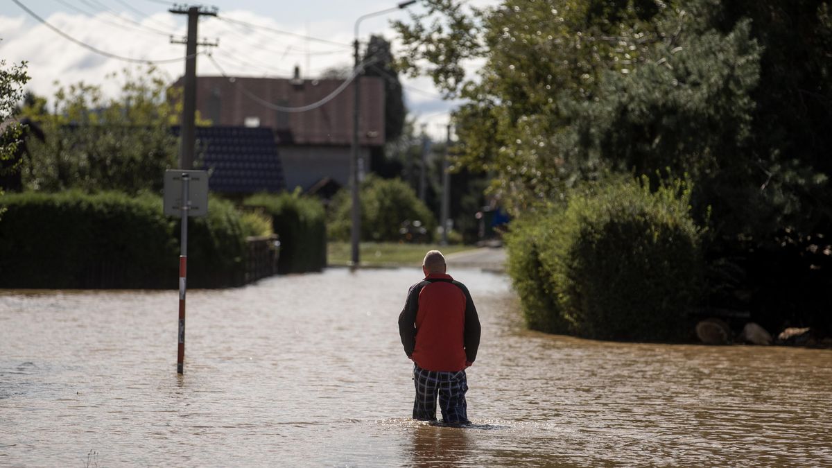 Meteorolog: Déšť postupuje k Šumavě a Českému lesu, pršet bude až do úterý