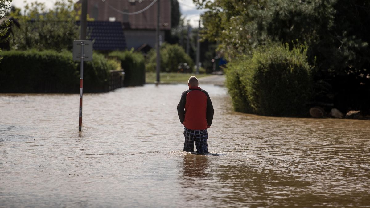 Nejlepší pomoc jsou peníze. Ale potřeba budou také dezinfekce a přesnídávky