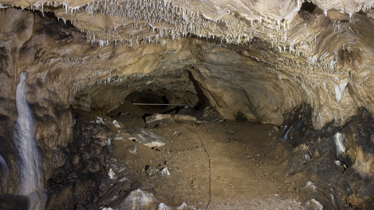 Vědci odhalili v jeskyni v Moravském krasu rytinu starou zhruba 15 tisíc let