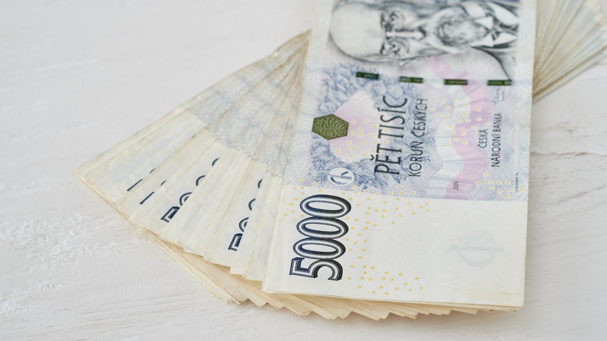 Vláda chce dát každému uprchlíkovi dávku 5000 korun