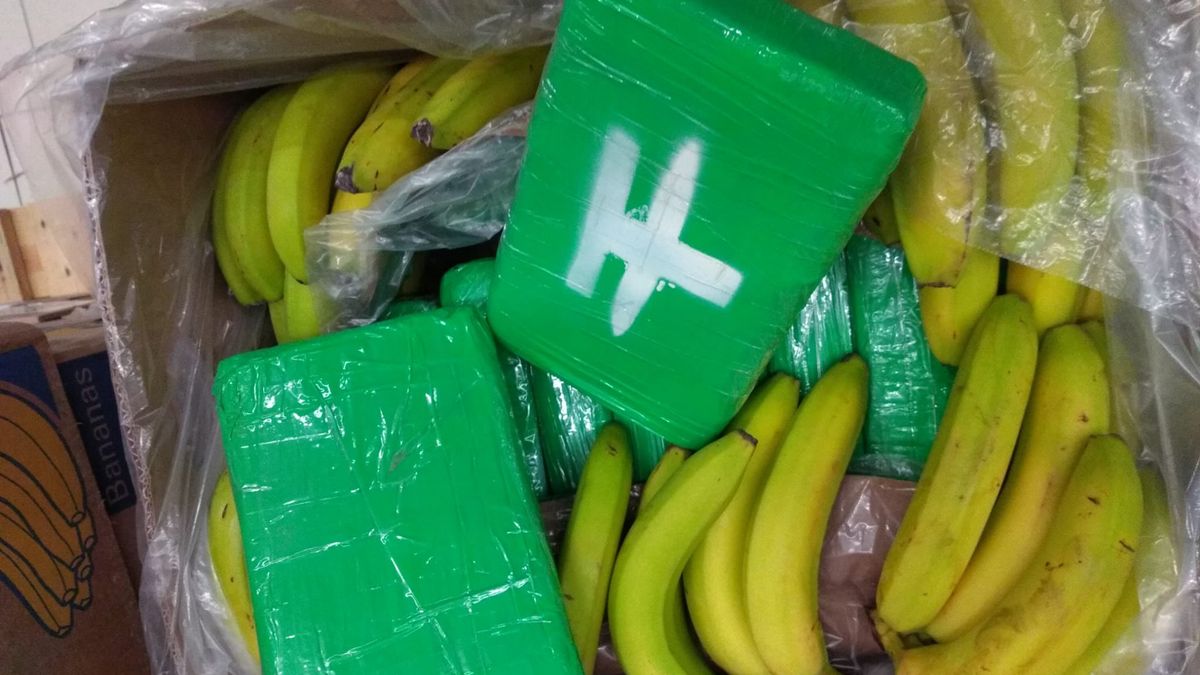 Zásilka bio banánů ukrývala ve skladu u Prahy kokain za miliardy
