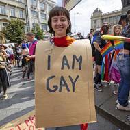 Odpůrci tvrdí, že akce veřejnosti vnucuje ideologii homosexuality.
