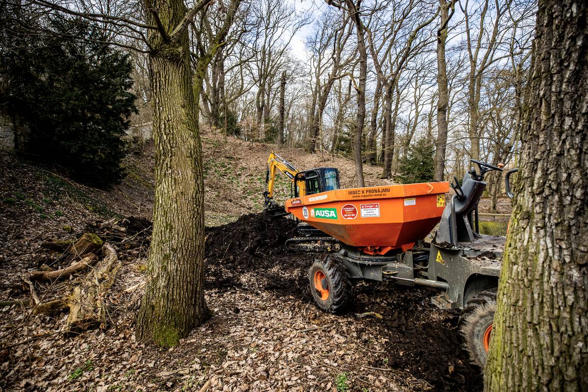 Na Petříně probíhají čisticí práce.