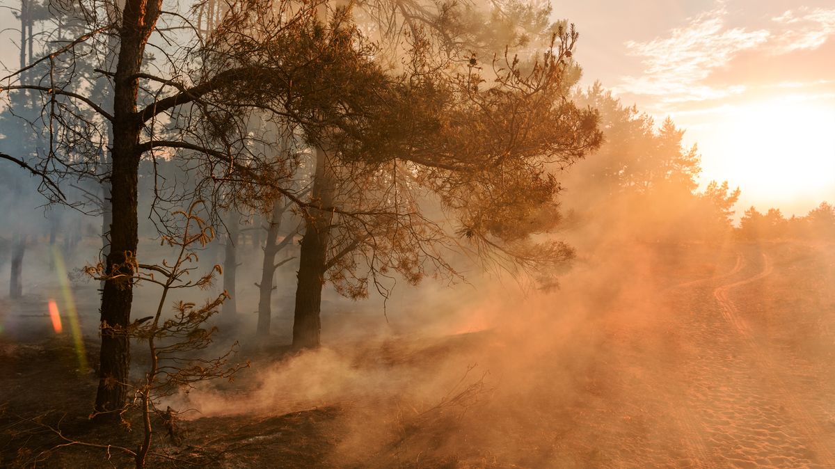 Rusko vyhlásilo ve dvou regionech stav nouze kvůli lesním požárům