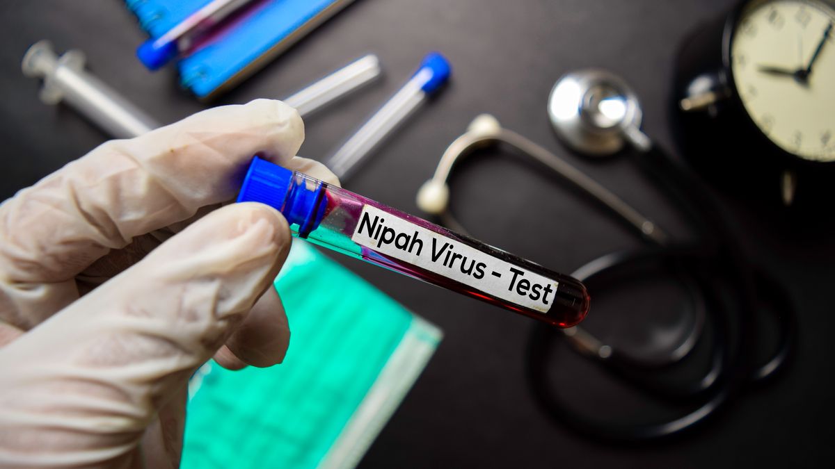 Indie testuje stovky lidí kvůli dvěma úmrtím na nebezpečný virus
