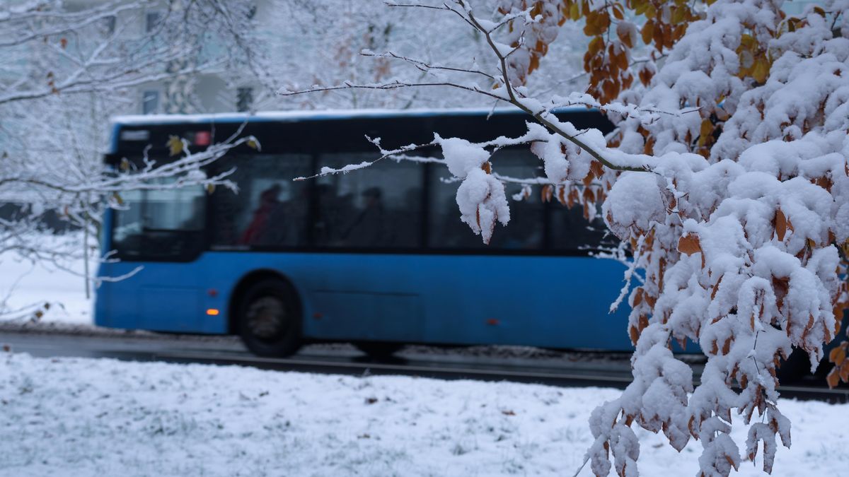 ANO by opět zavedlo slevy na jízdném, jsou ale potřeba? Vše hovoří proti