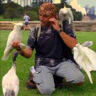 Sydney, Austrálie, rok 2008.