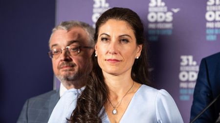 Blažka vystřídá „první dáma ODS“. Kdo je nová ministryně Decroix