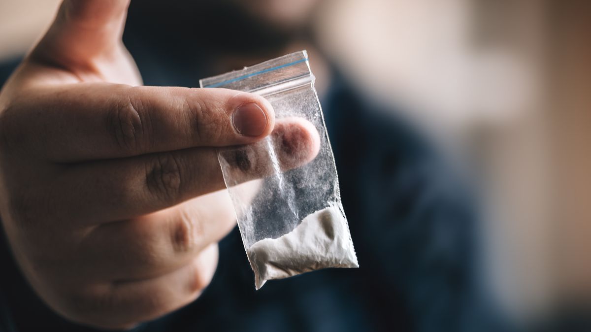 Sněmovní kancléř chce od policie zprávu ohledně nálezu kokainu