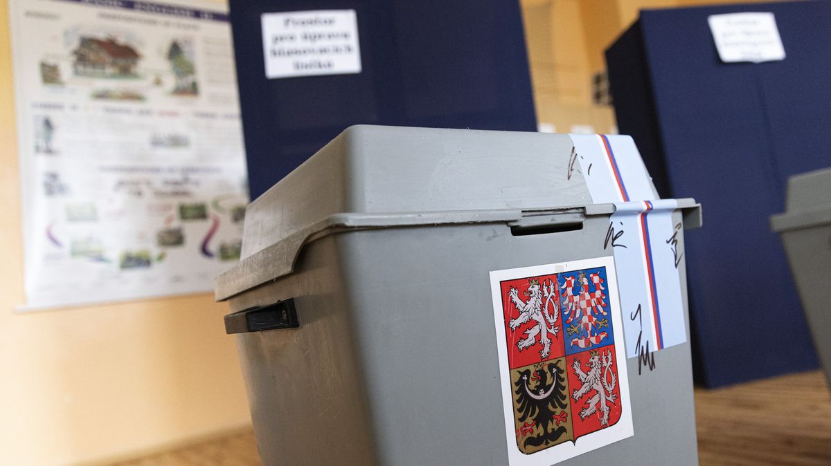 Sněmovna schválila zavedení korespondenční volby pro Čechy žijící v cizině