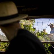 „Měli byste to ale vidět třeba za deště, to už taková sranda není,“ smějí se ostatní ze skupiny. Pracuje se totiž za každého počasí.