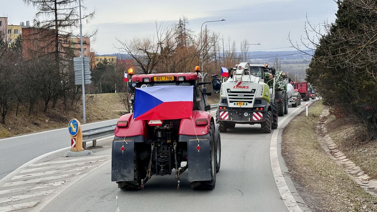 Pýcha: Čeští zemědělci se 20. března připojí k evropským protestům