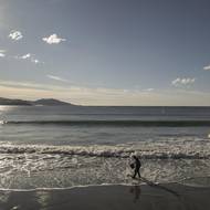 Situaci zřejmě způsobil kontejner s plastovým granulátem, který spadl do Atlantského oceánu z přepravní lodě Toconao na začátku prosince. Dánská společnost Maersk tvrdí, že příčiny incidentu vyšetřuje. Z lodě spadlo během bouře do oceánu celkem šest kontejnerů.