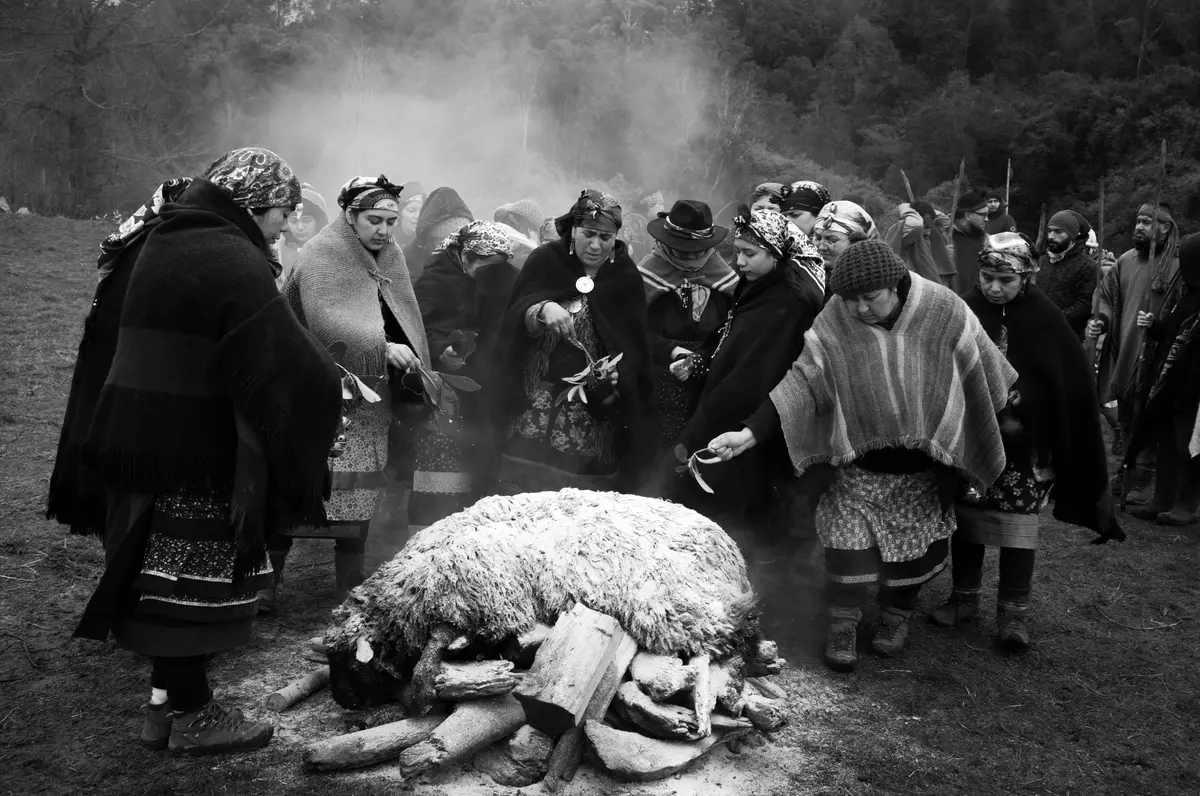 110_South America_Long-Term Projects_Pablo E. Piovano_Greenpeace Award_GEO_National Geographic Society