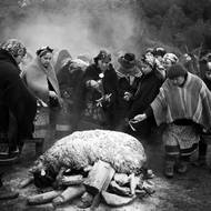 Diskriminace a trestání aktivistů přetrvávají, navzdory novým zákonům, které práva domorodé komunity podporují. 