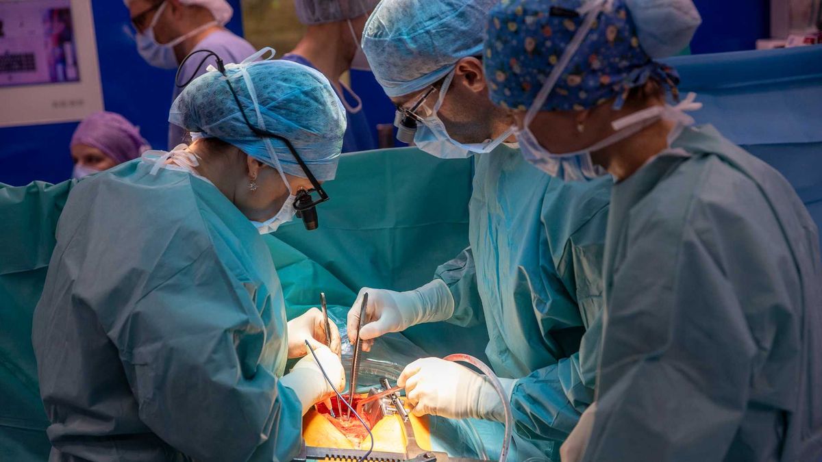 Politika versus medicína aneb Hledá se skutečný profesionál